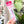 Load image into Gallery viewer, Sewline Water Erasable Fabric Pen