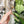 Load image into Gallery viewer, OklaRoots® Gold Corner Turning Wand