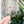 Load image into Gallery viewer, Removable Circle Strapzeez™ - Rose Gold Sprites