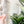 Load image into Gallery viewer, 1-2-3-4 HALVES Inch Rounded Corners - Soda - Acrylic Template