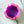 Load image into Gallery viewer, Large Pumpkin Craft Bowl - Unicorn - Designed by Newt!