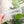 Load image into Gallery viewer, Bubble Zipper Accent Template - Frost - 3 Sizes Available