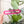 Load image into Gallery viewer, Hard Corners Zipper Accent Template - Magenta - 3 Sizes Available