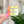 Load image into Gallery viewer, Removable Rectangle Strapzeez™ - Sunset Holographic