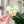Load image into Gallery viewer, Removable Mouse Head Strapzeez™ - Sunset Holgraphic