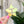 Load image into Gallery viewer, Removable Bubble Star Strapzeez™ - Sunset Holographic
