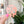 Load image into Gallery viewer, Removable Skull Strapzeez™ - Frosted Holographic