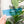 Load image into Gallery viewer, Poochy Pouch - Two Sizes - Set of 4 - Blue - Acrylic Template