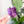 Load image into Gallery viewer, Totes Cute Tote Handle Guide - Set of 2 - Purple - Acrylic Template
