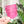 Load image into Gallery viewer, Totes Cute Tote Handle Guide - Set of 2 - Magenta - Acrylic Template
