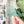 Load image into Gallery viewer, English Paper Piecing Set of 3 - 3/8" Seam Allowance - "Box Top" Style - Light Green - Acrylic Template