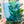 Load image into Gallery viewer, A Little Chonky - Single Panel Add On - Blue - Acrylic Template