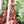 Load image into Gallery viewer, SPICY Bookmark With Tassel - Clear - Acrylic Template - Tassel Color May Vary