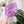 Load image into Gallery viewer, Inner Seam Tool - All In One - 1/4", 3/8", 1/2" - Purple - Acrylic Template