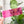 Load image into Gallery viewer, A Little Chonky - Two Tone - Set of 4 - Magenta - Acrylic Template