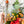 Load image into Gallery viewer, Soft Corners Zipper Accent Template - Light Green - 3 Sizes Available