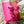 Load image into Gallery viewer, A Little Chonky - Single Panel Add On - Magenta - Acrylic Template