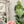 Load image into Gallery viewer, Holographic Flake OklaRuler : 1" x 6" Clear Ruler