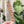 Load image into Gallery viewer, Pumpkin Flake OklaRuler : 1" x 6" Clear Ruler