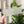Load image into Gallery viewer, A Little Chonky - Two Tone - Set of 4 - Frosted - Acrylic Template