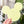 Load image into Gallery viewer, Mouse Craft Tray - Pyramid Base with Grips - Lemon GLOW