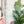 Load image into Gallery viewer, Wet +Dry for Wet/Dry Bag - CutOuts - LIGHT GREEN - An Applique Template