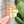 Load image into Gallery viewer, Removable Flower Strapzeez™ - Sunset Holographic