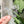 Load image into Gallery viewer, Removable Mouse Head Strapzeez™ - Holographic Flake