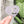 Load image into Gallery viewer, Removable Heart Strapzeez™ - Rippled Textured Lavender