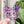 Load image into Gallery viewer, Removable Mouse Head Strapzeez™ - Purple Foil Heart