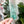 Load image into Gallery viewer, Rounded Fancy Straps - Size 1.5" - Light Green - Set of 3 - Acrylic Template