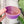 Load image into Gallery viewer, Medium Rope Craft Bowl - Purple and Gold