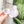 Load image into Gallery viewer, Itty Bitty Mouse Craft Bowl - Lavender Rainbow