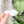 Load image into Gallery viewer, Itty Bitty Mouse Craft Bowl - Pearl