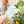 Load image into Gallery viewer, Removable Cowboy Hat Strapzeez™ - Frosted Seaglass