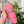 Load image into Gallery viewer, Zhuzh - Paradise Punch - Corkcicle 40oz Cruiser With Plastic Straw