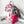 Load image into Gallery viewer, As Seen On OklaRoots - Pink Floral Mini Backpack