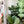 Load image into Gallery viewer, Soft Corners Zipper Accent Template - Soda - 3 Sizes Available