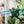 Load image into Gallery viewer, Rounded Zipper Accent Template - Blue - 3 Sizes Available
