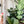 Load image into Gallery viewer, Chat Zipper Accent Template - Clear - 3 Sizes Available