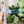 Load image into Gallery viewer, Hard Corners Zipper Accent Template - Ocean - 3 Sizes Available