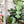 Load image into Gallery viewer, Square Zipper Accent Template - Clear - 3 Sizes Available
