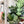 Load image into Gallery viewer, Square Zipper Accent Template - Soda - 3 Sizes Available