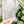 Load image into Gallery viewer, Rounded Fancy Straps - Size 1.5" Webbing To 1" Hook - Frosted - Set of 3 - Acrylic Template