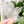 Load image into Gallery viewer, Rounded Fancy Straps - Size 1" - Frosted - Set of 3 - Acrylic Template