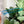 Load image into Gallery viewer, Chat Zipper Accent Template - Blue - 3 Sizes Available