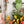 Load image into Gallery viewer, Ears Zipper Accent Template - Clear - 3 Sizes Available