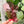Load image into Gallery viewer, Rounded Fancy Straps - Size 1.5" Webbing To 1" Hook - Pink - Set of 3 - Acrylic Template