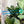Load image into Gallery viewer, Star Zipper Accent Template - Blue - 3 Sizes Available