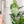 Load image into Gallery viewer, Bow Zipper Accent Template - Clear - 3 Sizes Available